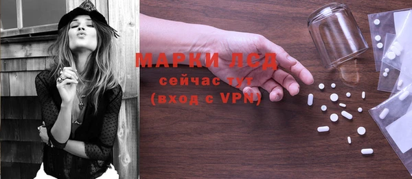 сатива Армянск